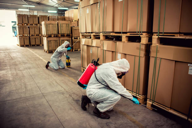 Best Cockroach Control Services  in Kearney, MO