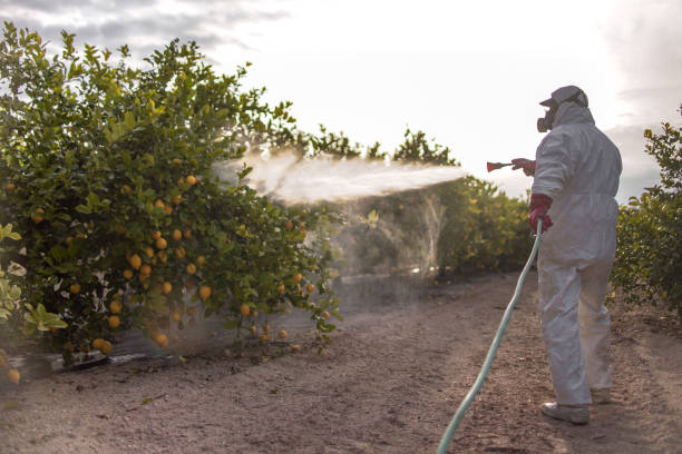 Best Residential Pest Control  in Kearney, MO