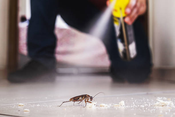 Best Pest Control for Restaurants  in Kearney, MO